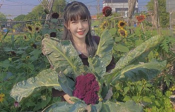 Tuyệt chiêu "trồng cây đồng hành" tạo ra khu vườn siêu sạch, siêu xanh của nữ nông dân phố