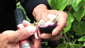 Vụ 11 trẻ ở Hà Giang bị ngộ độc: 1 trẻ tử vong, 3 trẻ chuyển tuyến Trung ương