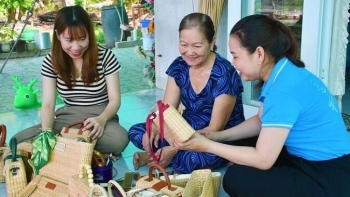 Người “biến” cây bồn bồn thành sản phẩm OCOP 3 sao