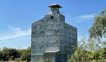 Nuôi loài chim nhả ra 