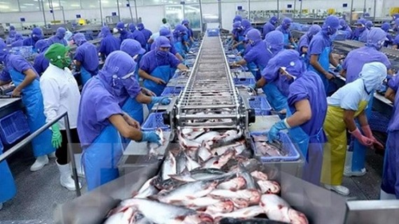 Kịch bản nào cho xuất khẩu thủy sản những tháng cuối năm 2023?