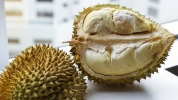 Sầu riêng Trung Quốc sau vụ giao dịch tiền tỷ là cảm nhận thất vọng có mùi vị như trái chuối chưa chín