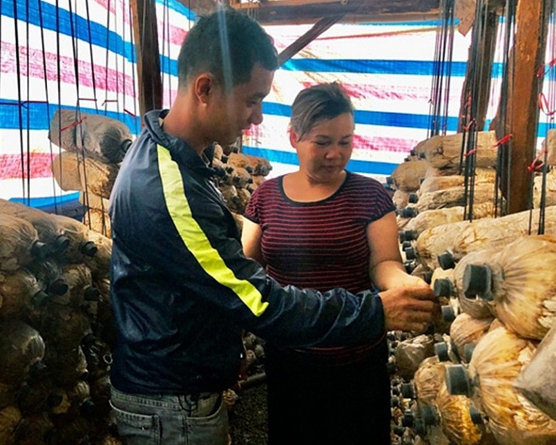 Anh Đoàn Công Tiến trao đổi với thành viên HTX Nông nghiệp 81 về kỹ thuật trồng nấm bào ngư xám. Ảnh Phạm Ngọc