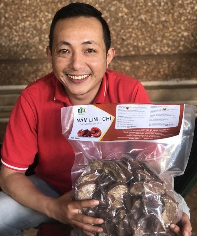 Sản phẩm nấm linh chi đỏ của anh Đoàn Công Tiến đạt OCOP 3 sao cấp tỉnh năm 2020. Ảnh Phạm Ngọc