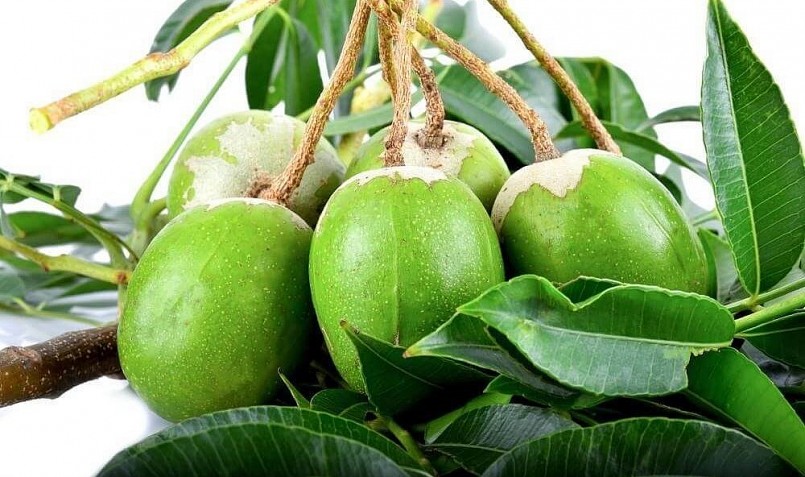 Cóc Thái được người tiêu dùng ưa chuộng