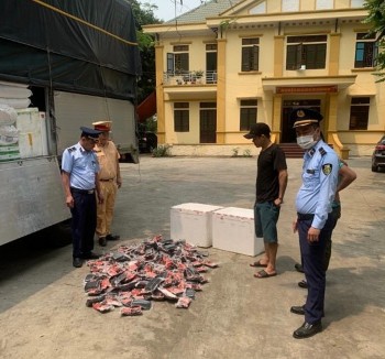 Nghệ An: Xử phạt 01 cá nhân vận chuyển 200kg thịt lợn bốc mùi