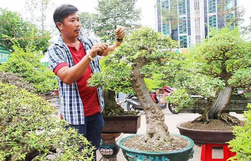 ngày nay, thú chơi cây cảnh, bonsai ngày càng phát triển, tạo nên một sân chơi hữu ích. ngày nay, thú chơi cây cảnh, bonsai ngày càng phát triển, tạo nên một sân chơi hữu ích.