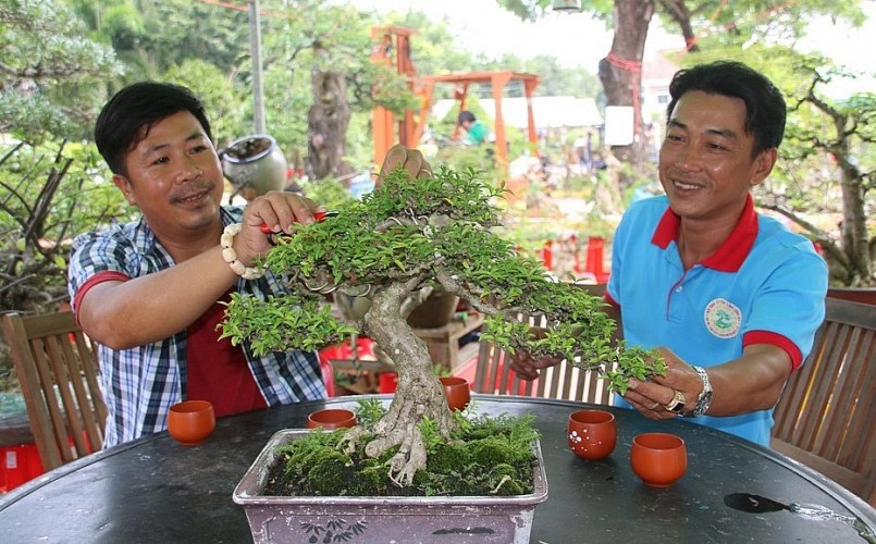 Người chơi cây cảnh còn tổ chức đấu giá cây bonsai để giúp đỡ đồng bào bị thiên tai, bệnh tật. Người chơi cây cảnh còn tổ chức đấu giá cây bonsai để giúp đỡ đồng bào bị thiên tai, bệnh tật.
