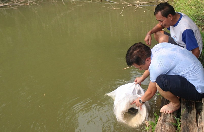 Giống cá được cấp là cá Lăng, loài cá đặc sản, thường bị săn bắt tận diệt ngoài tự nhiên.