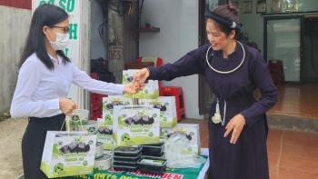 Thạch đen Thạch An – sản phẩm OCOP nức tiếng Cao Bằng