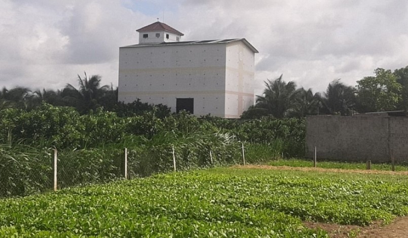 Xây nhà kiên cố dẫn dụ chim yến phát triển mạnh tại tỉnh Tiền Giang.