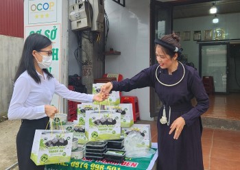 Thạch đen Thạch An – sản phẩm OCOP nức tiếng Cao Bằng