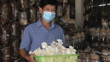 Hành trình tìm nấm chữa bệnh lập nên trại nấm khủng với doanh thu 7 tỷ đồng mỗi năm