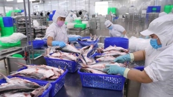 Xuất khẩu thủy sản sang thị trường UAE còn nhiều dư địa