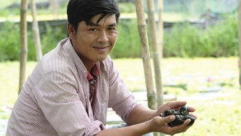 Bác sỹ điều dưỡng nghỉ việc thuê ruộng nuôi ốc cho đỡ áp lực, giờ thu về 4 tỷ mỗi năm