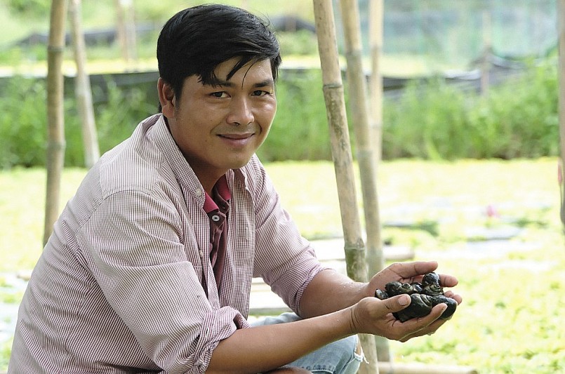 Anh Dũng với mẻ ốc đã trưởng thành, chờ xuất bán. Ảnh: Nguyễn Đông Anh Dũng với mẻ ốc đã trưởng thành, chờ xuất bán. Ảnh: Nguyễn Đông