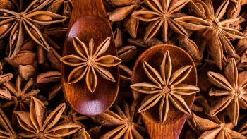 Nữ nông dân tỷ phú người Nùng lộ bí quyết làm giàu từ hoa hồi đặc sản quê hương