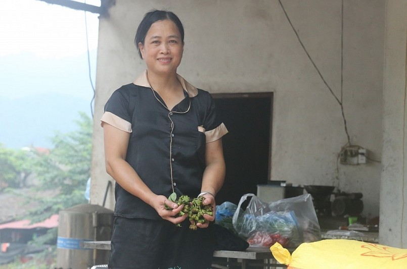 Chị Đàm Thị Hoài làm giàu từ hoa hồi và tạo việc làm cho hàng chục lao động.