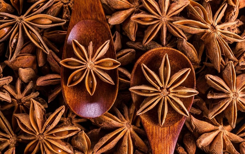 Hoa hồi là nông sản nổi tiếng của Lạng Sơn xuất khẩu đem lại hiệu quả kinh tế cao.