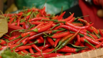 Ai không nên ăn ớt?