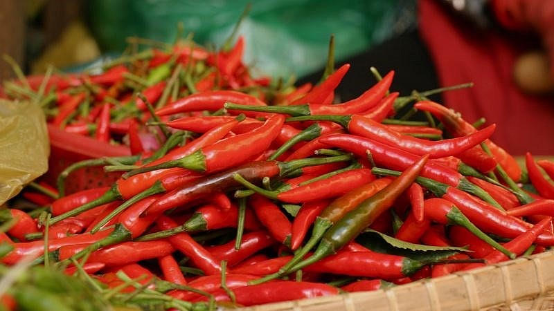 Ớt được xem là gia vị không thể thiếu trong các món ăn của người dân Việt Nam