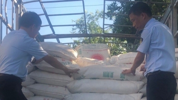 Hà Tĩnh: Xử phạt 3 phương tiện vận chuyển đường nhập lậu