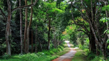 Cúc Phương nhận giải "Vườn quốc gia hàng đầu châu Á năm 2023"