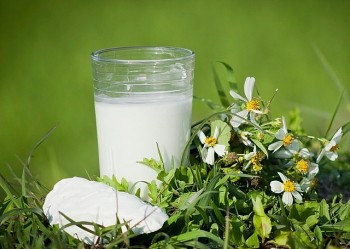 5 loại nước uống tốt cho sức khỏe siêu dễ làm tại nhà