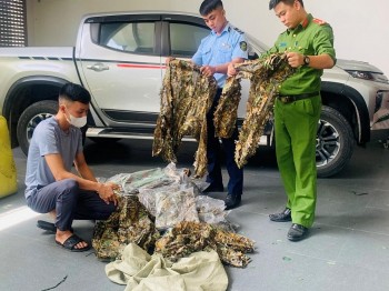 Nghệ An: Phát hiện 01 cửa hàng vi phạm trong kinh doanh thương mại điện tử