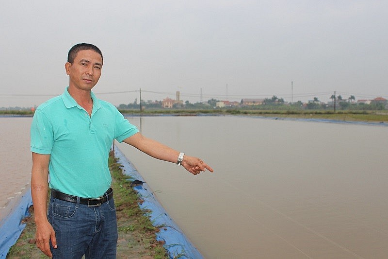 Mô hình nuôi cá chạch đồng của anh Thỉnh Mô hình nuôi cá chạch đồng của anh Thỉnh