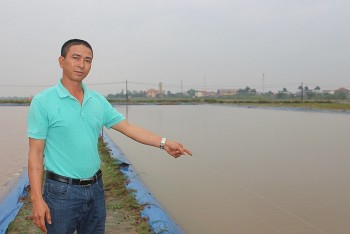 Nuôi loài cá là “thần dược” của quý ông, bán làm đặc sản nhà hàng, nhà nông thu nhập tiền tỷ