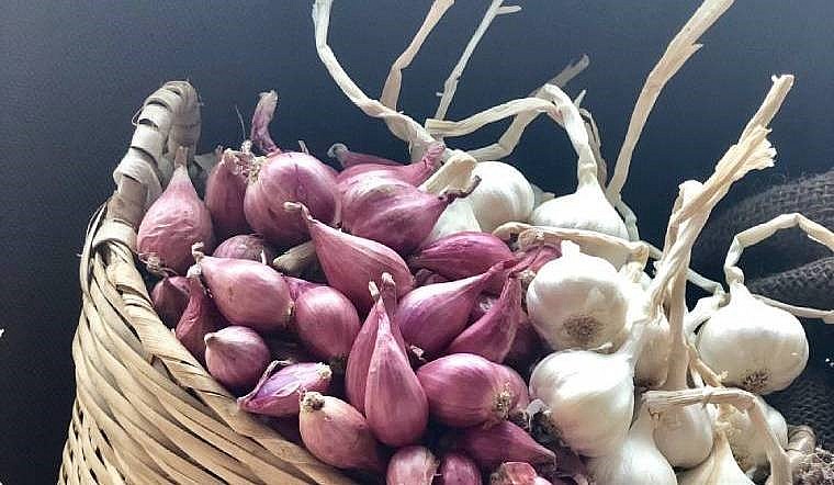 Thực Phẩm Cho Gan: Chìa Khóa Vàng Cho Sức Khỏe Toàn Diện