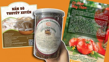 Huyện Việt Yên (Bắc Giang): 5 sản phẩm nông sản được công nhận OCOP 3 sao