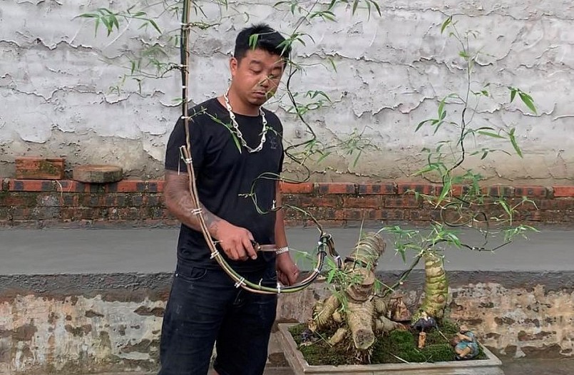 Anh Tùng với sản phẩm bonsai tre mà anh đã bỏ ra nhiều coogn sức để tạo dáng.
