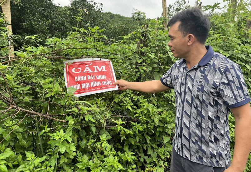 Cần có giải pháp để giải quyết triệt để tình trạng kích giun đất trộm.