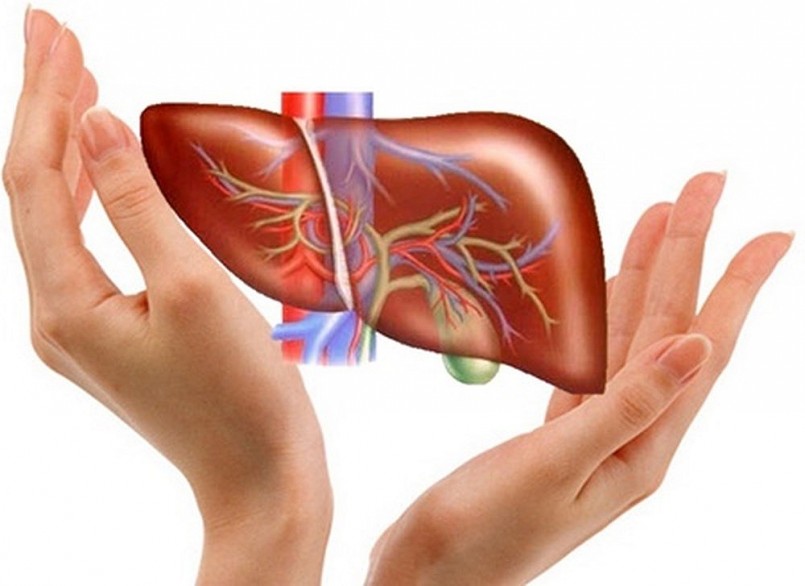 Thực phẩm cho gan – “Chìa khóa vàng” cho sức khỏe toàn diện