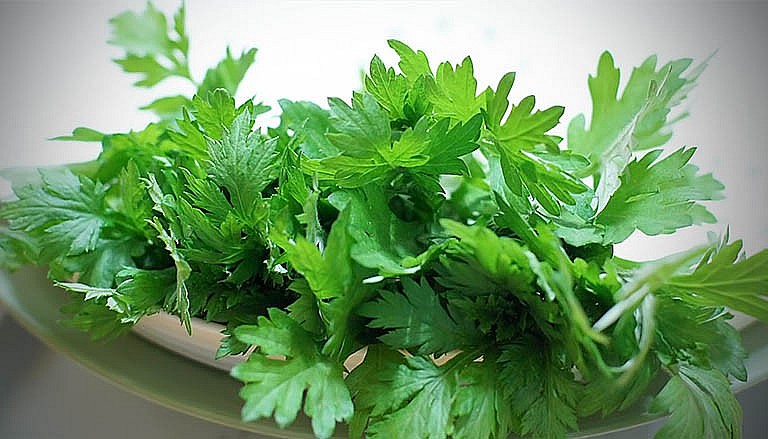 Ngải Cứu - Vị Thuốc Quý Trên Bàn Ăn Hằng Ngày Ngải Cứu - Vị Thuốc Quý Trên Bàn Ăn Hằng Ngày