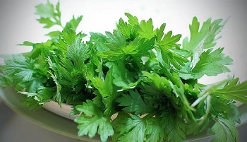 Ngải cứu - vị thuốc quý trên bàn ăn hằng ngày