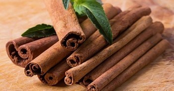 Việt Nam xuất khẩu quế chủ yếu sang thị trường nào?