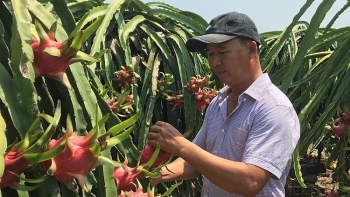 Cơ hội mở rộng thị trường nông sản tại Hội chợ iFresh 16