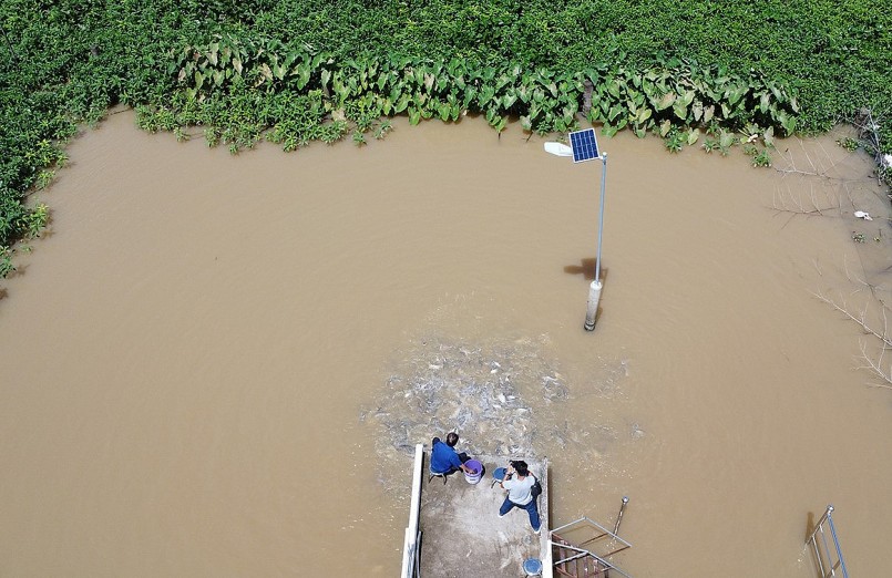 Bến sông trước cửa nhà ông Nô có đàn cá về nương náu. 
