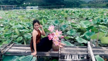 Lạc vào thế giới hương sắc tại đầm sen khủng nhất tỉnh Yên Bái, đi quên lối về