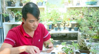 9X với tuyệt kỹ tạo siêu phẩm bonsai "nhỏ mà có võ" truyền nhân ba đời làm cây cảnh