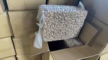 Tây Ninh: Phát hiện lô hàng nhập khẩu gần 100 tấn hạt điều không đúng khai báo