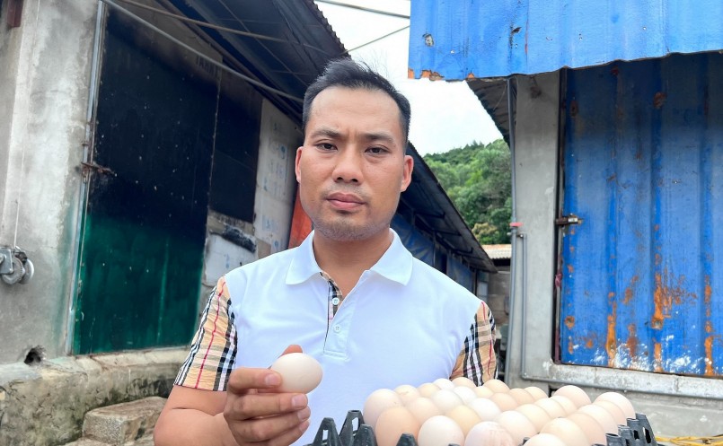 Anh Hoàng Anh Tú trở thành ông chủ của trang trại gà hơn 8.000 con.