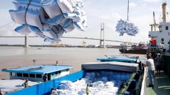 Philippines chiếm 37,6% trong tổng kim ngạch gạo xuất khẩu của cả nước