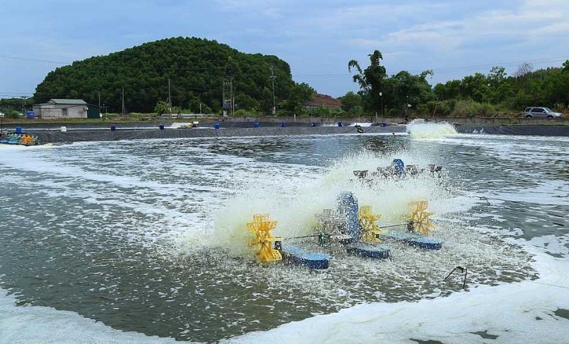 Diện tích nuôi tôm thâm canh 3 giai đoạn ứng dụng công nghệ của gia đình ông Đặng Văn Sáu, thôn Hà Dong, xã Hải Lạng, huyện Tiên Yên, tỉnh Quảng Ninh.