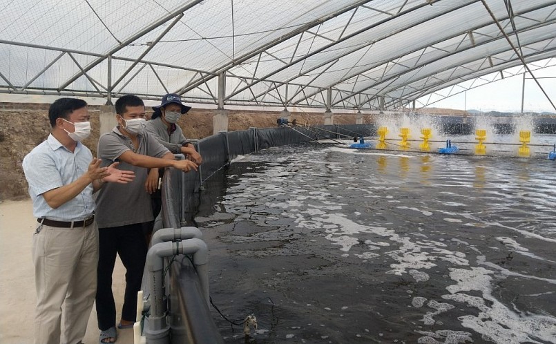 Mô hình nuôi tôm công nghệ cao của hộ anh Phạm Quốc Huy (xã Đồng Rui, huyện Tiên Yên) cho thu nhập gần 1 tỷ đồng mỗi vụ.