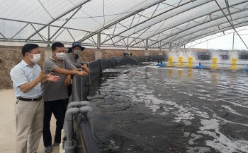 Một huyện ở Quảng Ninh nửa năm đã thu 6.200 tấn thủy sản được tỉnh đầu tư nghìn tỷ xây dựng hạ tầng vùng nuôi