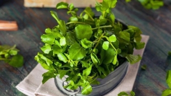 Loại rau vừa được công bố “tốt nhất thế giới” có nhiều ở chợ Việt, khi ăn cần lưu ý điều này